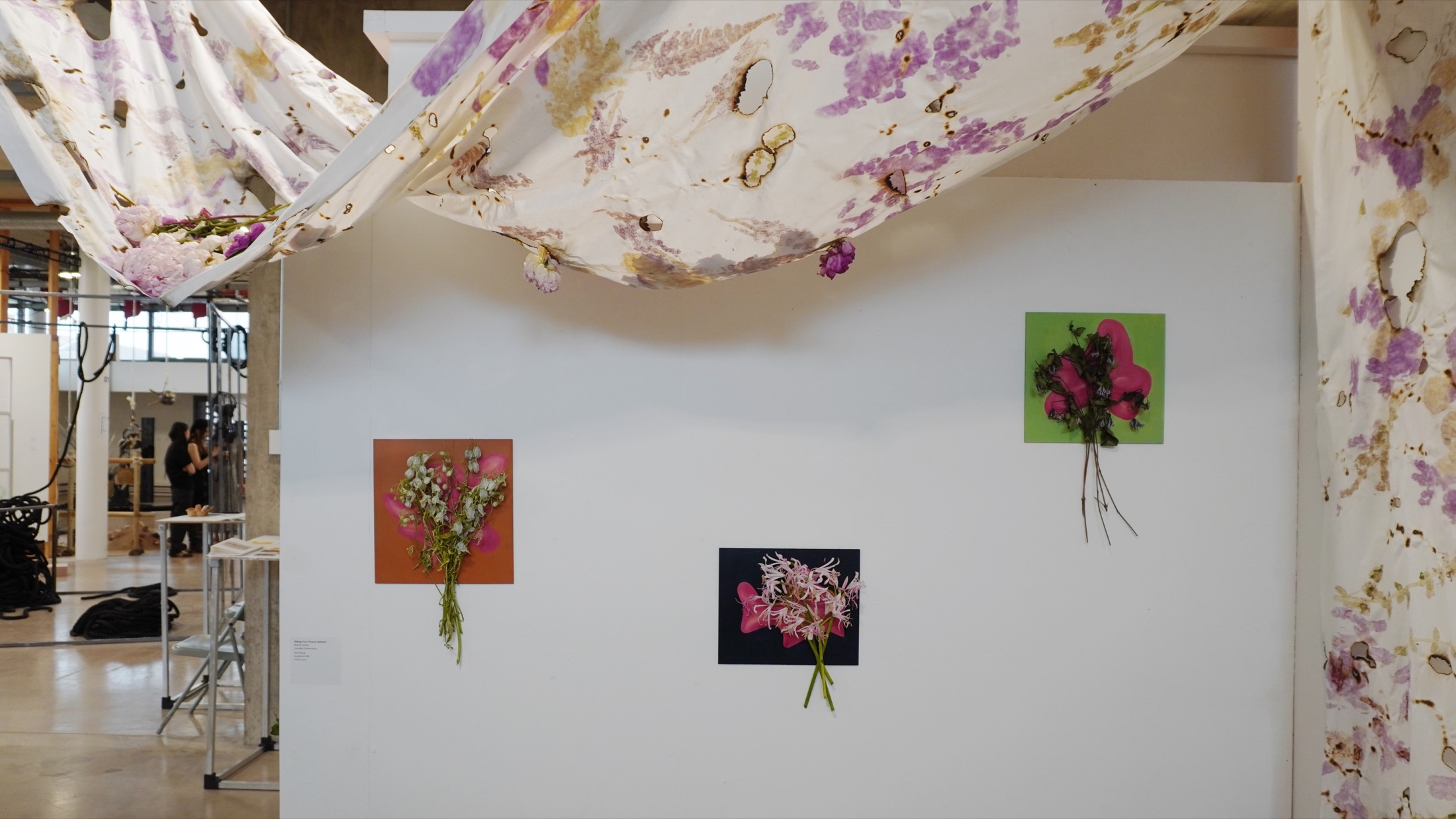 Gallery wall beneath the suspended installation