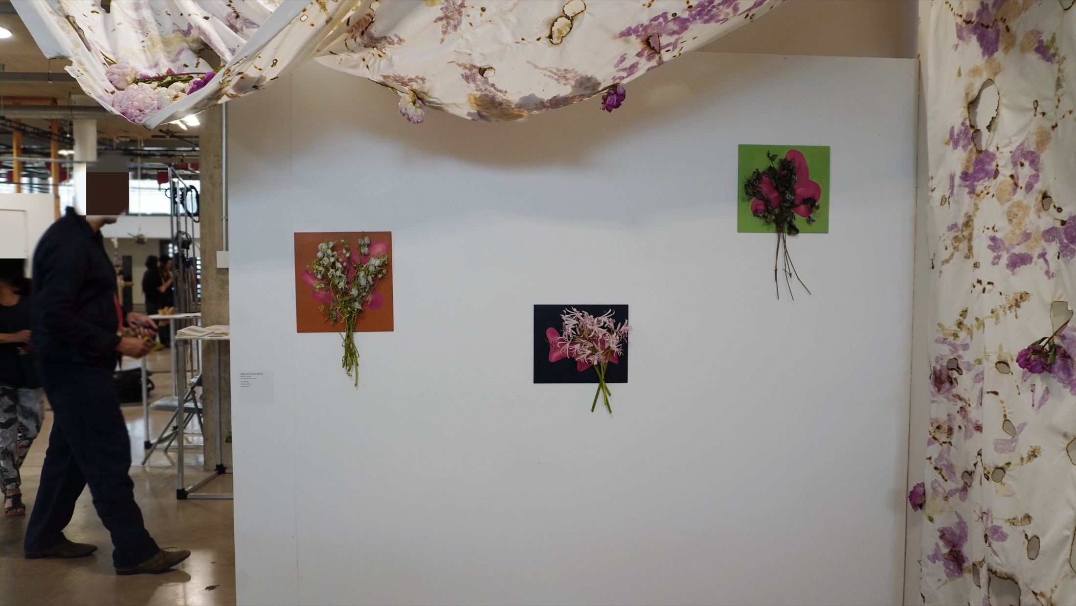 Installation and exhibition wall view