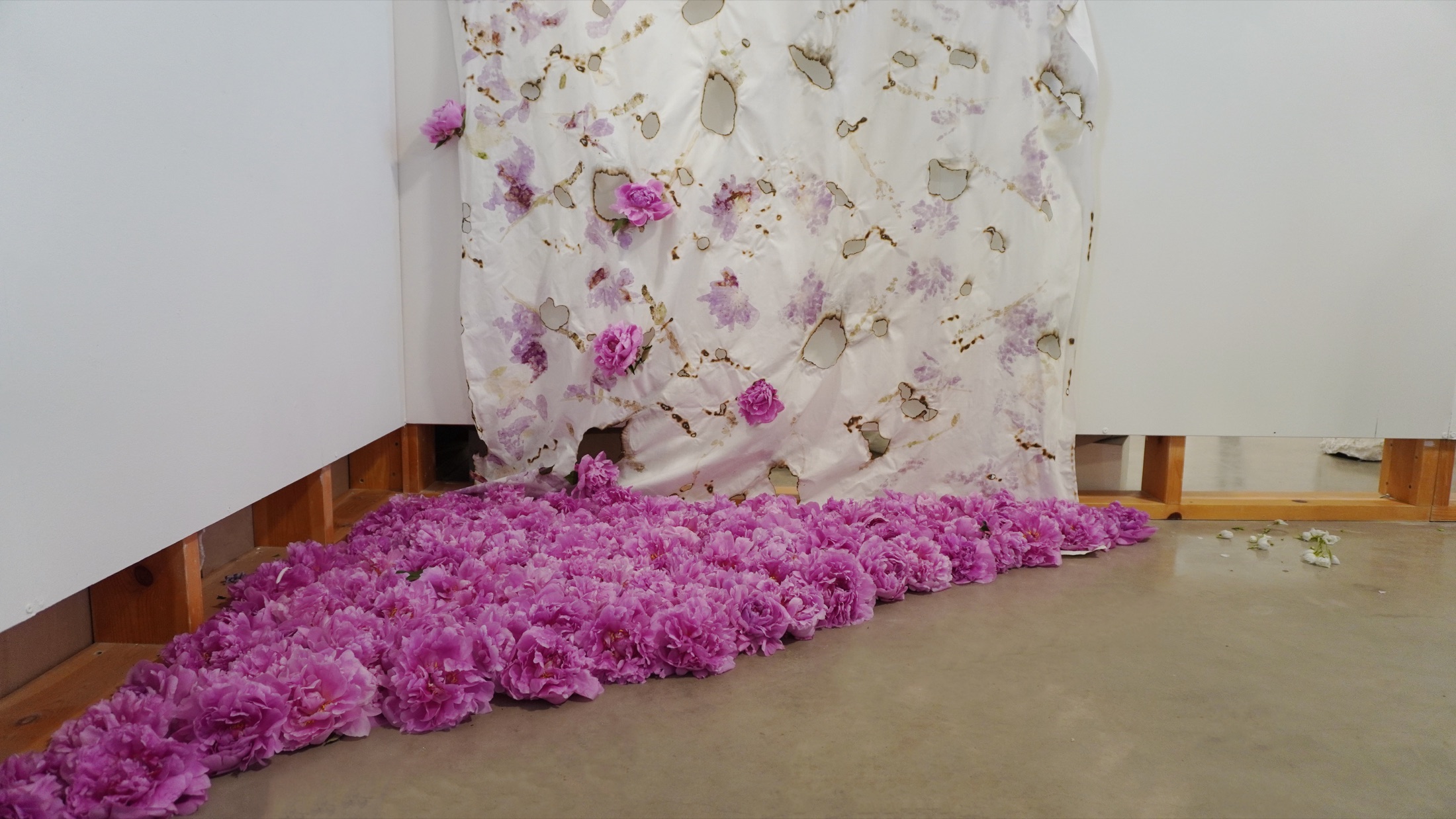 Floor arrangement of peonies