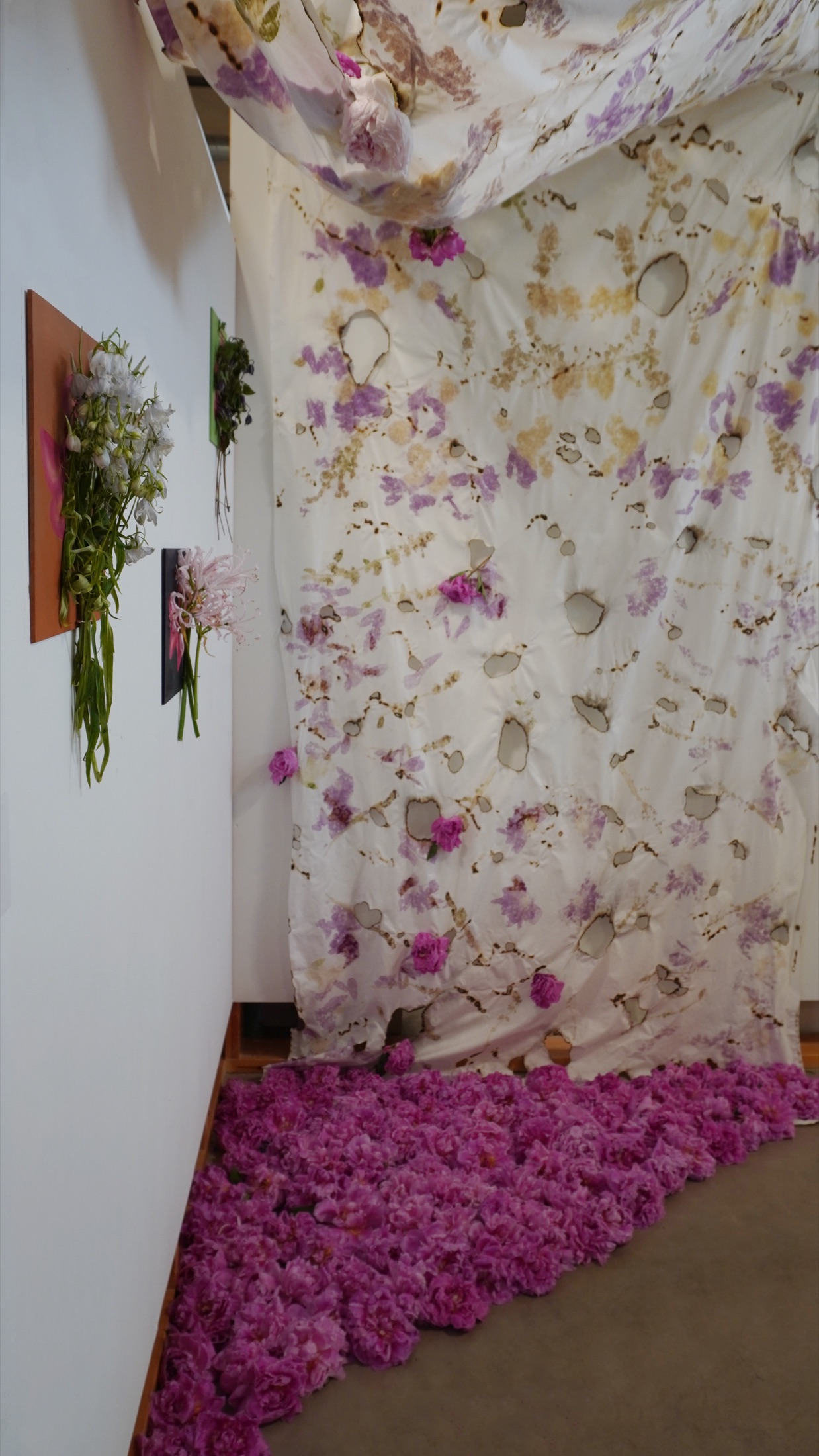 Vertical view of flowers across wall and floor