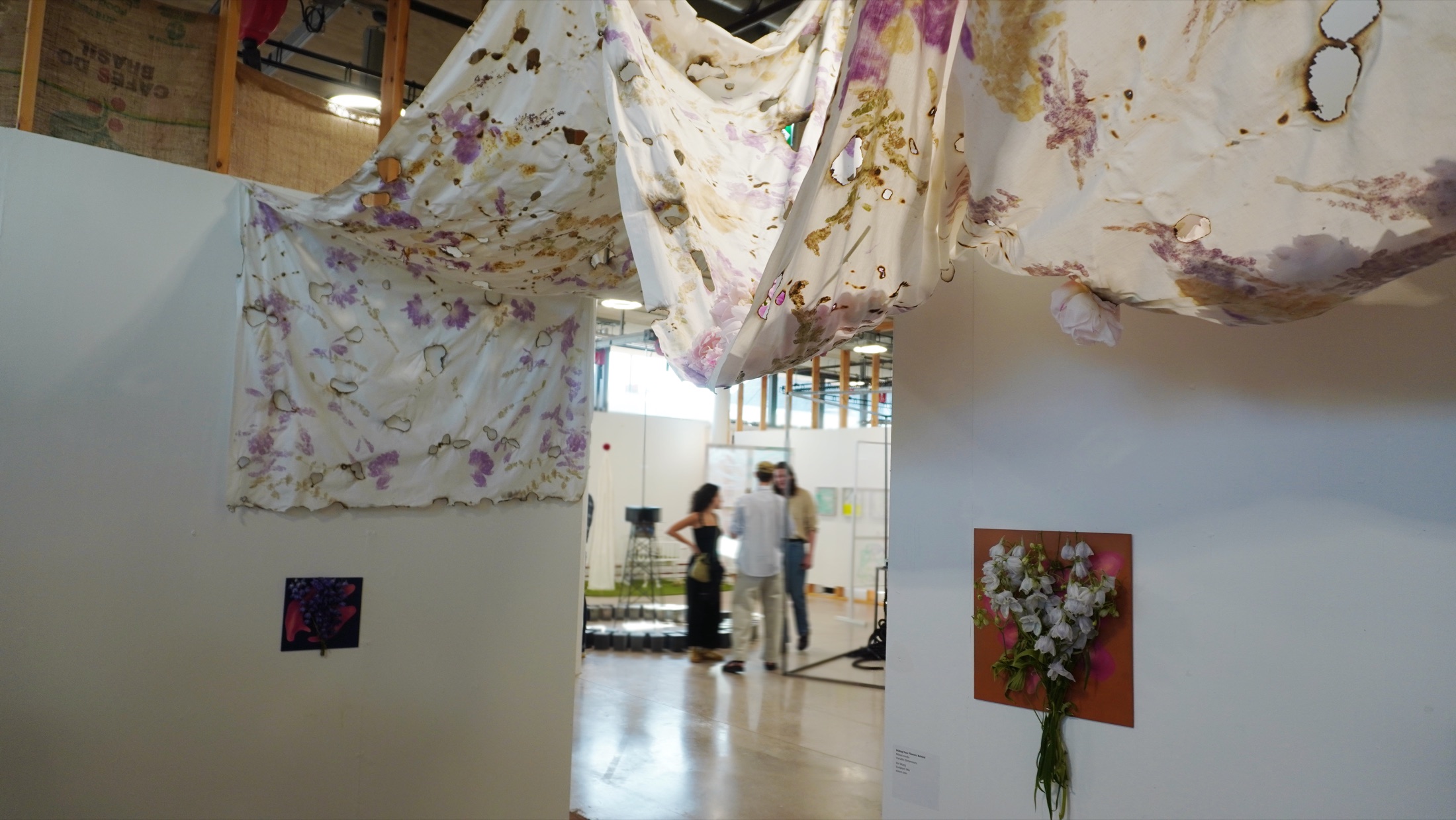 Hiding Your Flowers Behind installation view