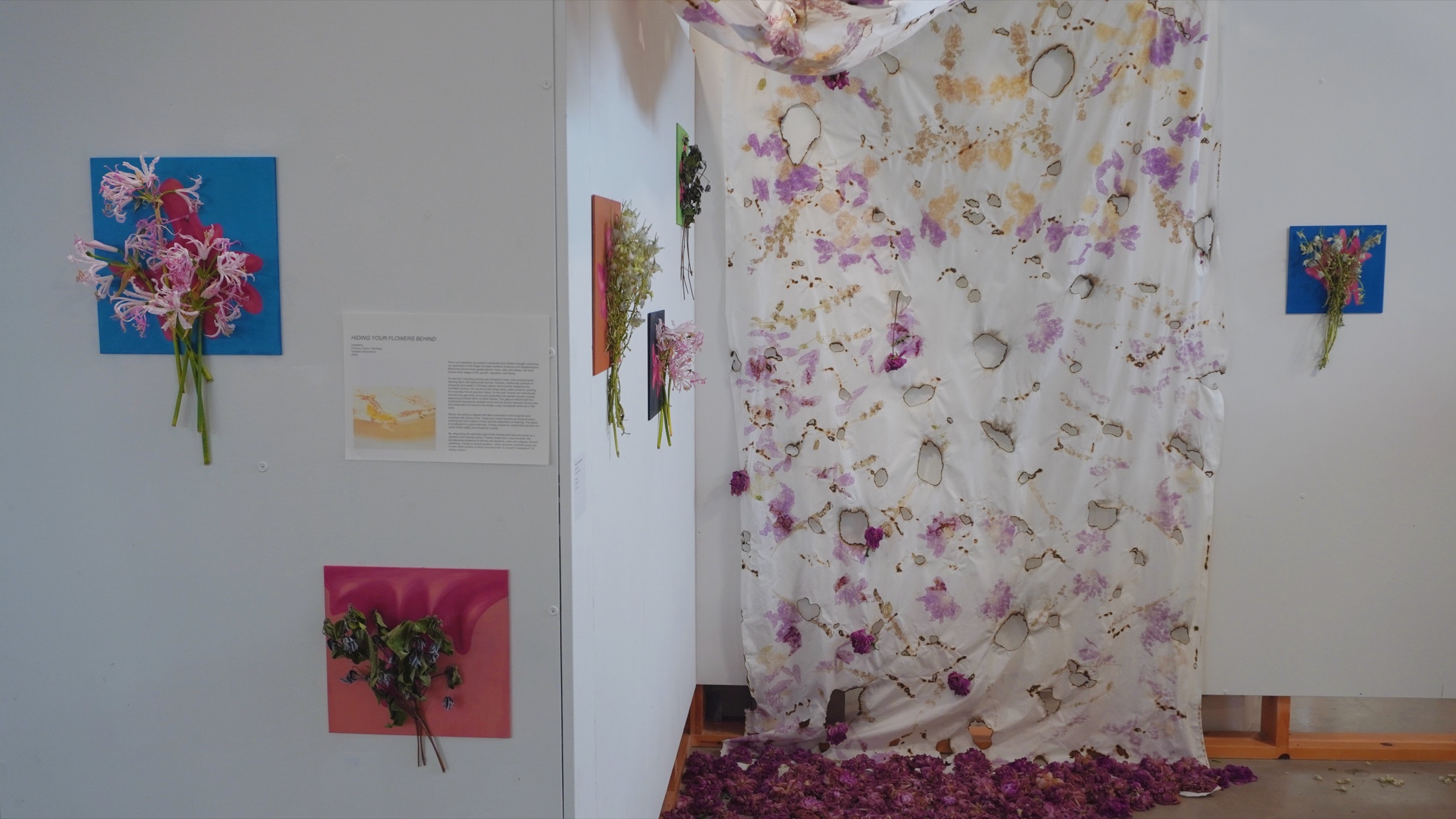 Gallery view of the wall plane