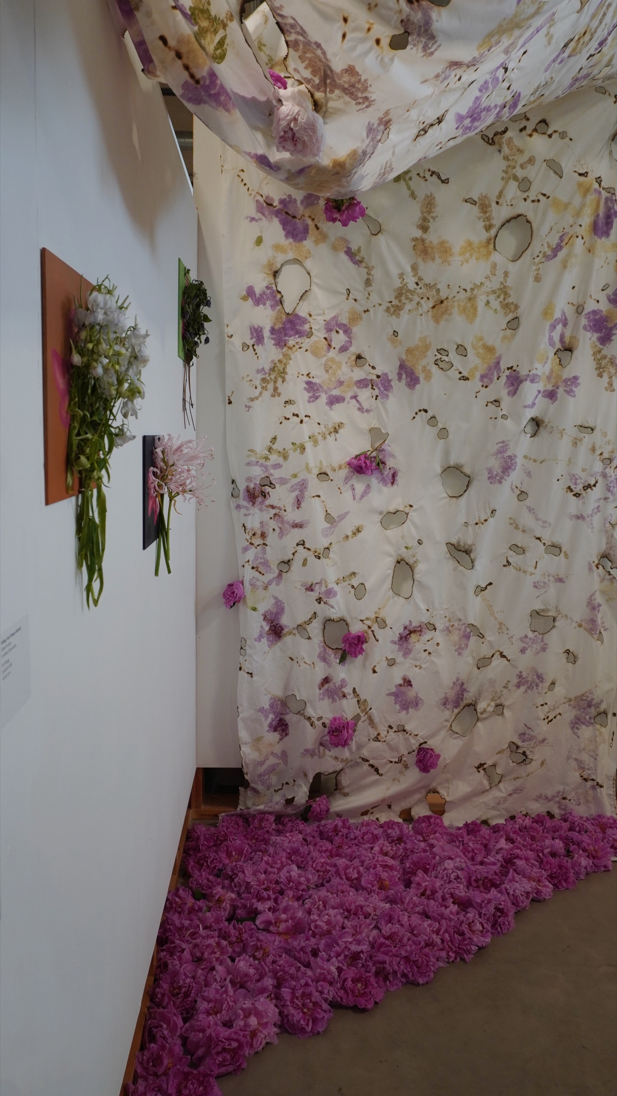 Vertical view of wall and floor elements