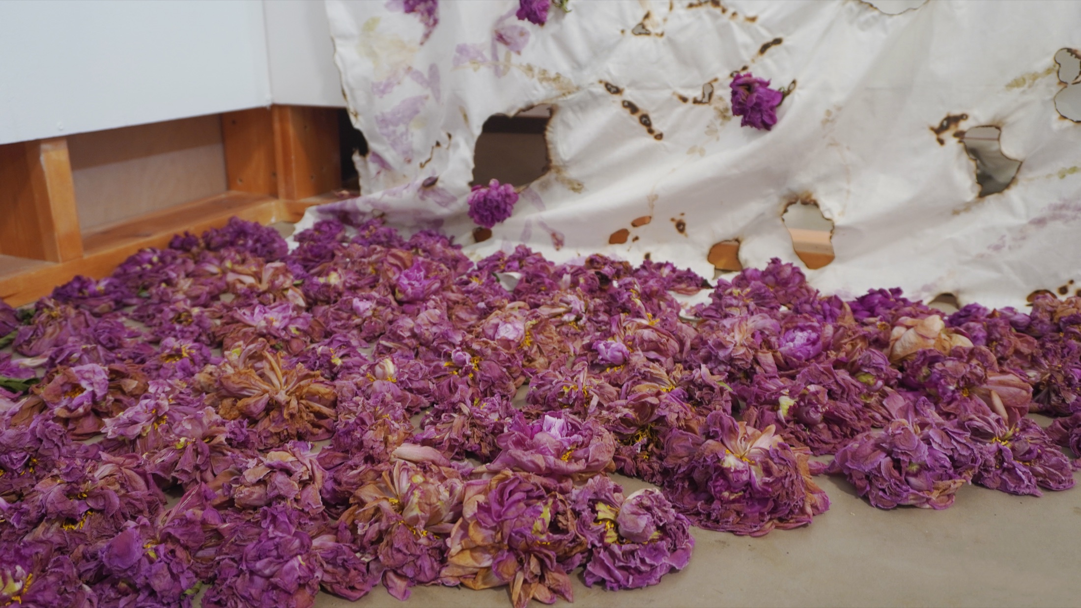 Peonies and fabric detail