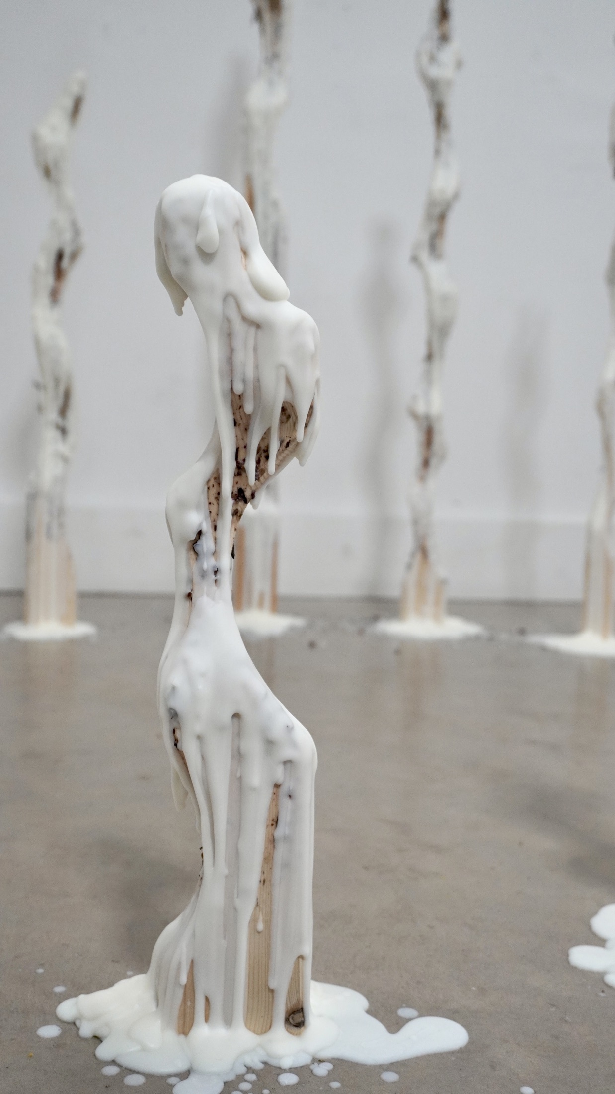 Molting installation, vertical view