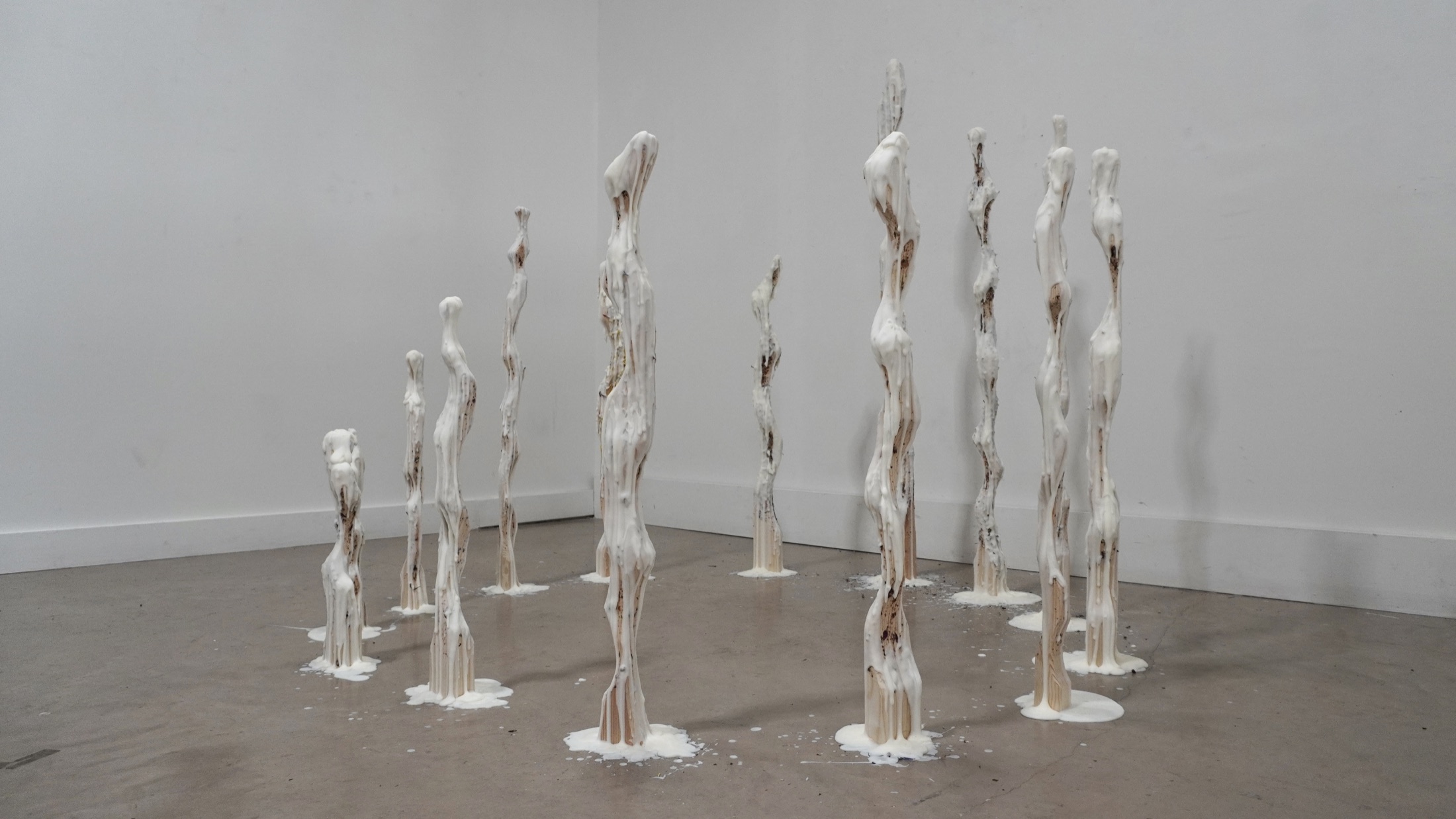 Wide view of the Molting installation