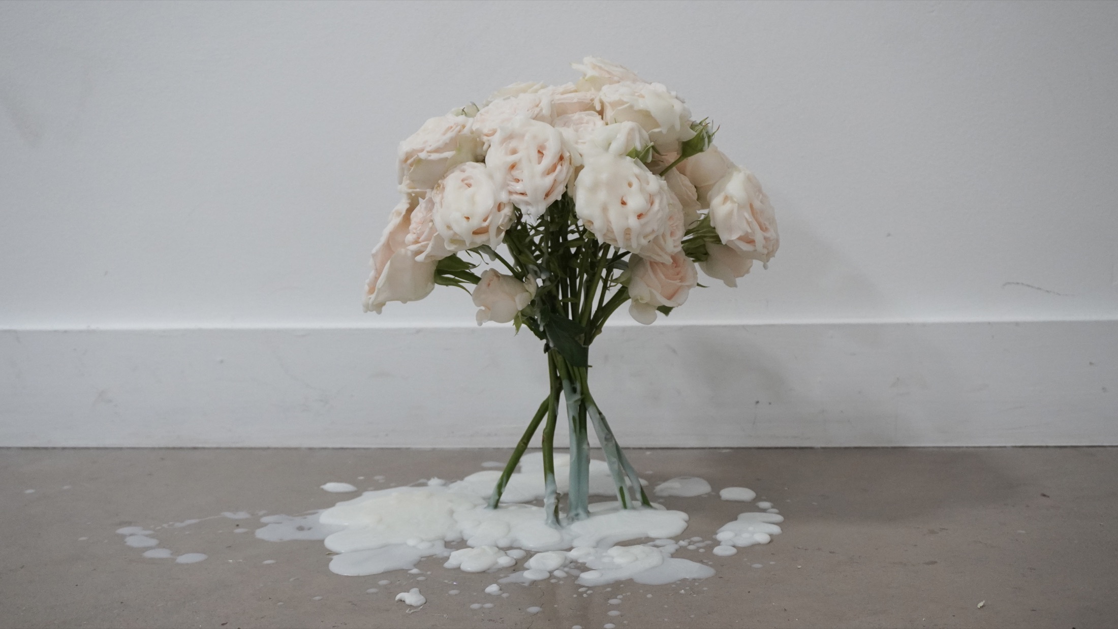 Flowers arranged with pooled wax