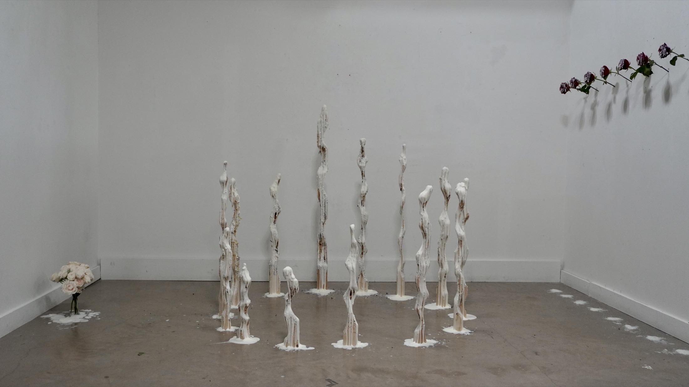 Molting installation in the gallery corner