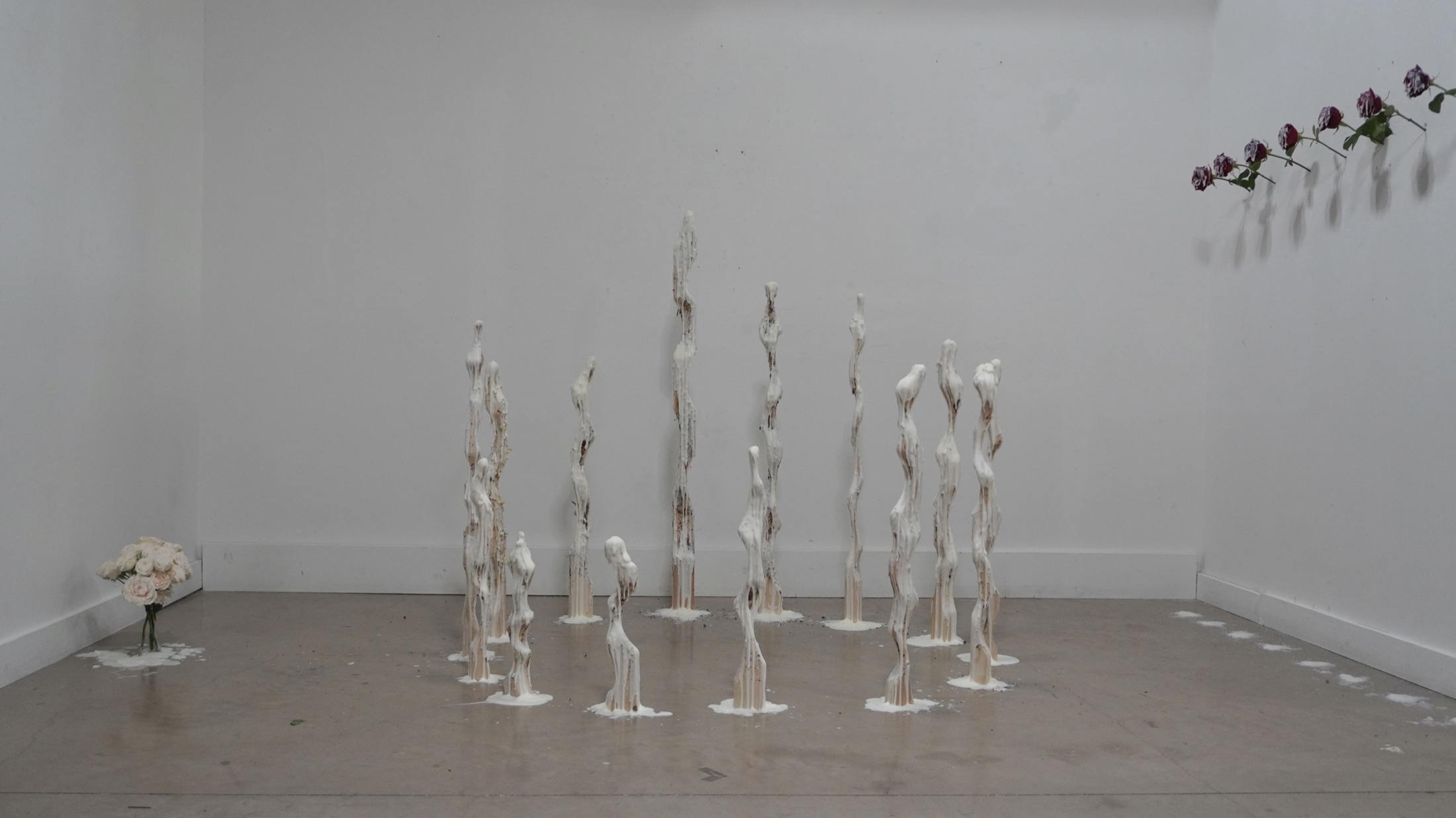 Wide gallery installation view