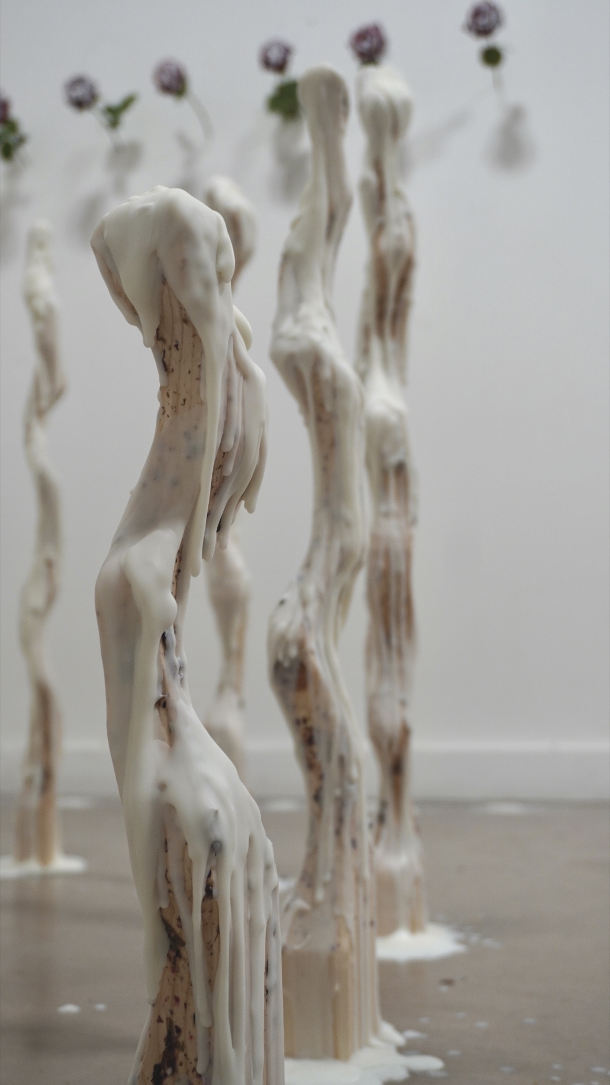 Molting installation detail