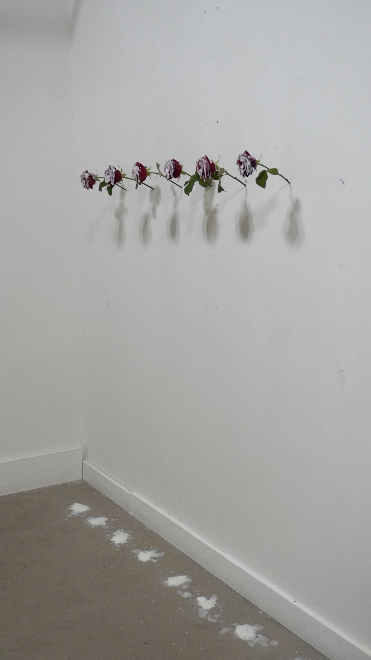 Wall and floor installation view