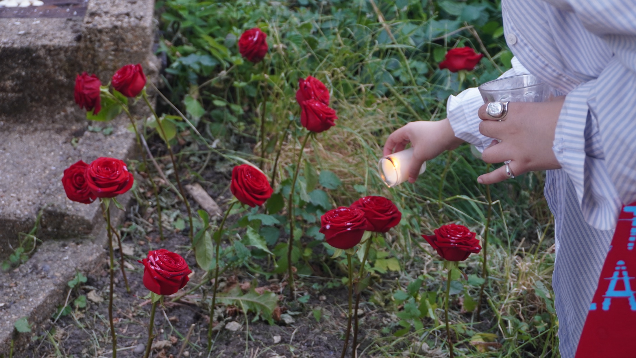 Red roses surrounding the outdoor work