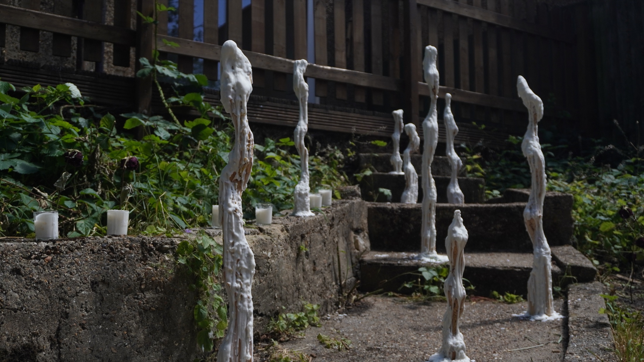 Molting at the outdoor exhibition
