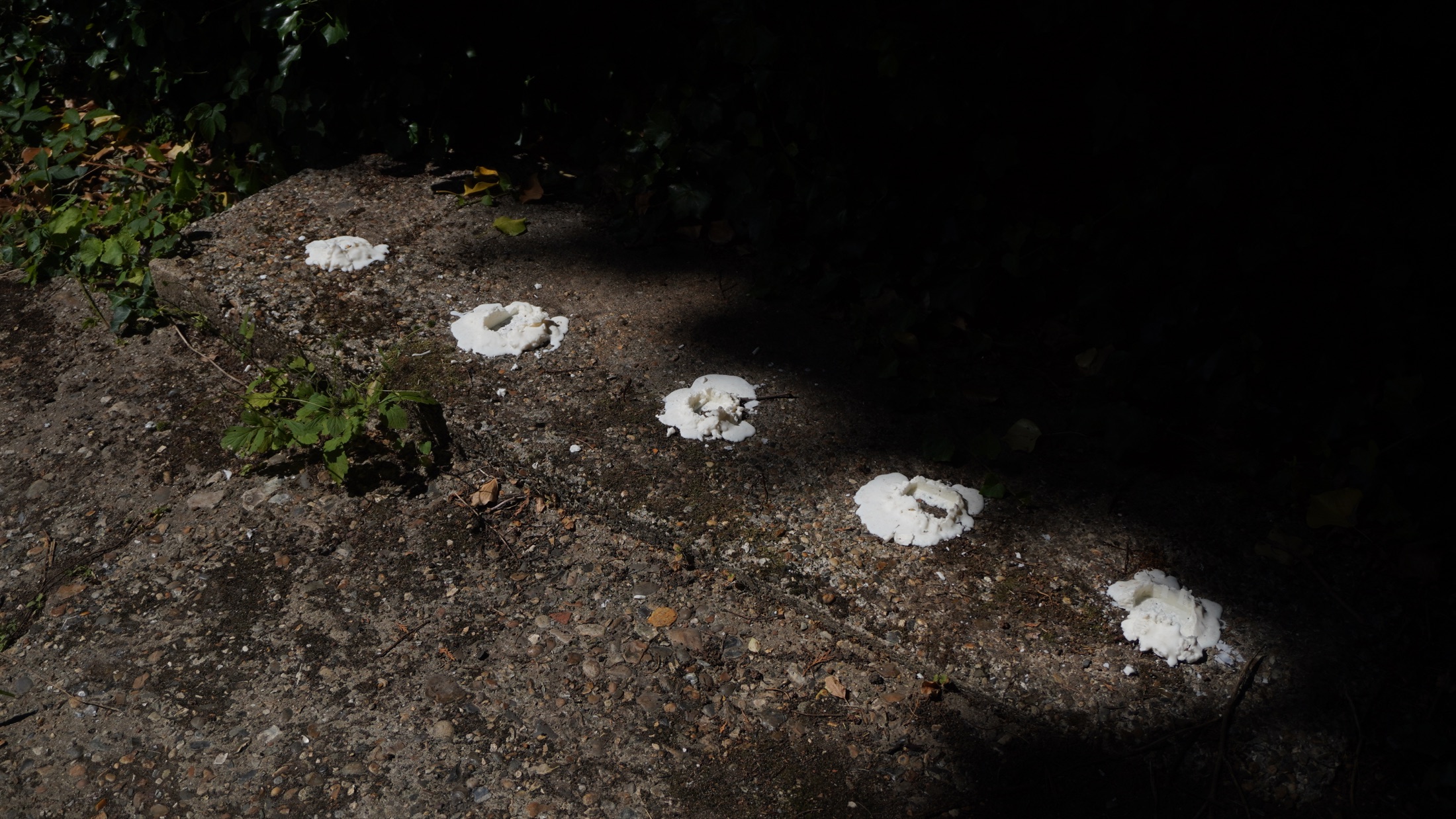 Wax traces arranged on the ground