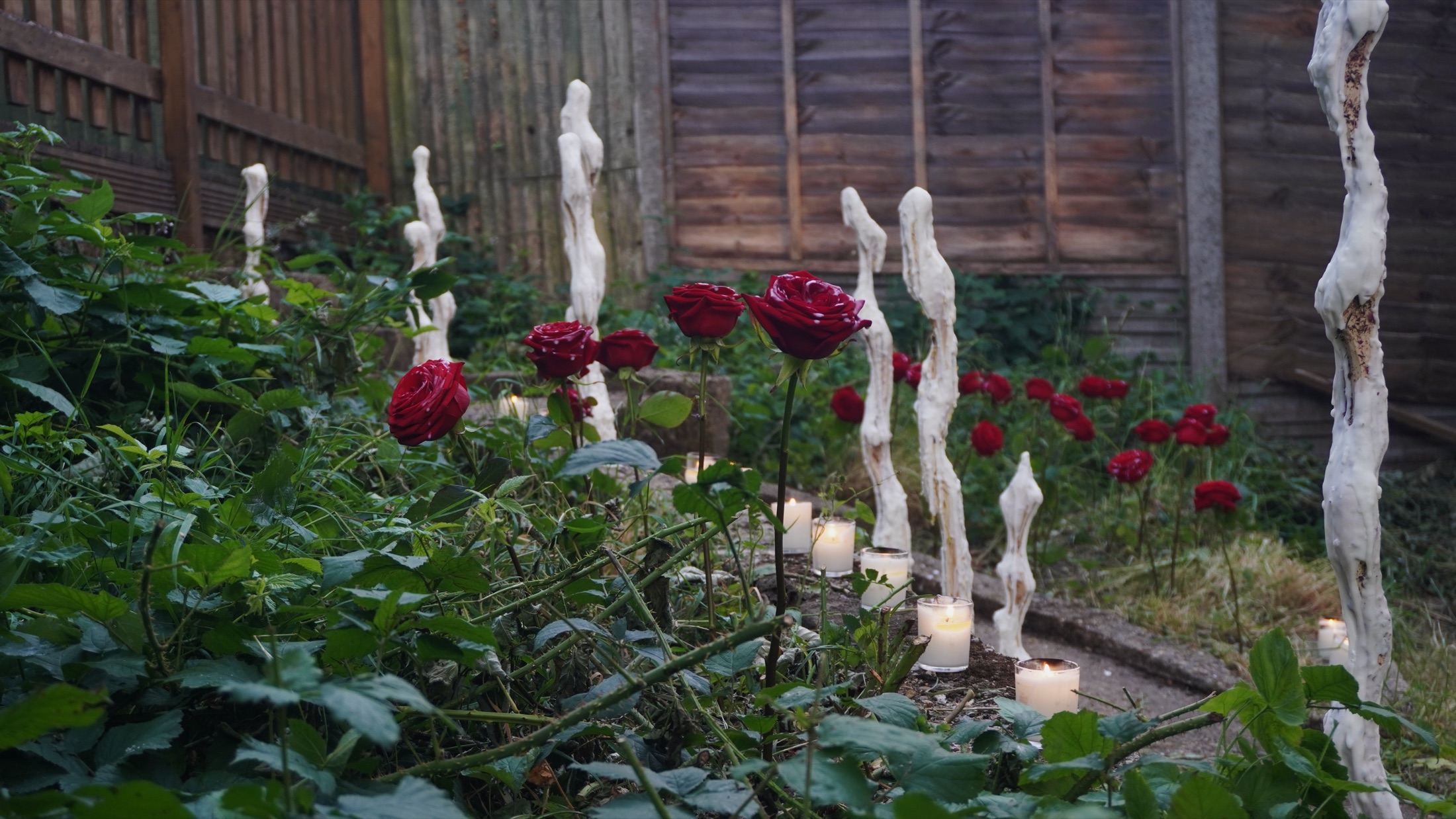 Garden exhibition view with roses