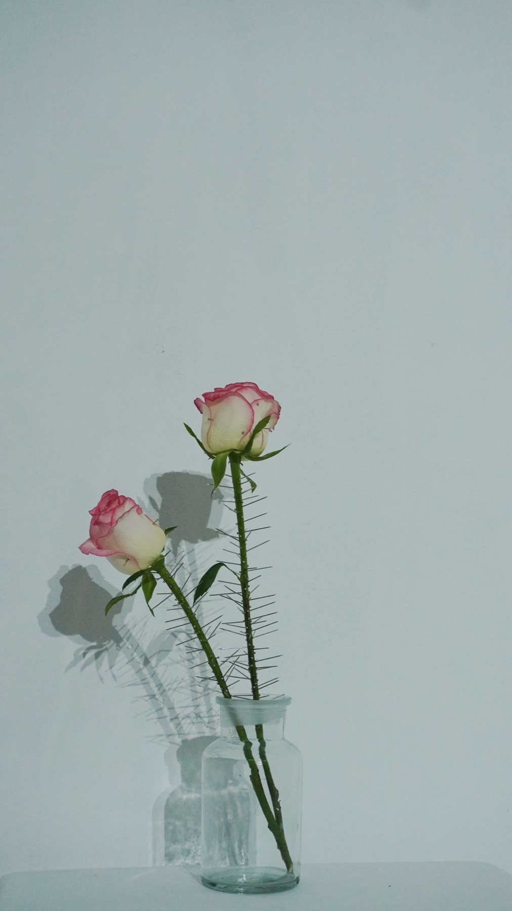 Past work 49 by Xizi Wang