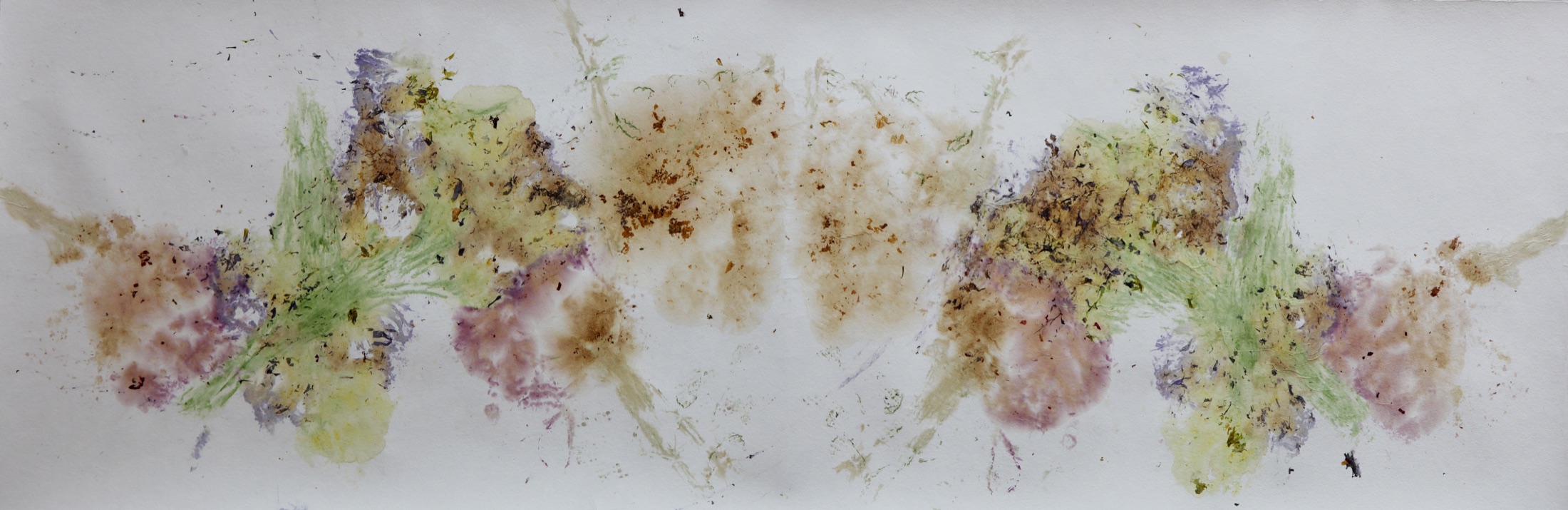 Traces of Blooms, natural flower pigments on paper