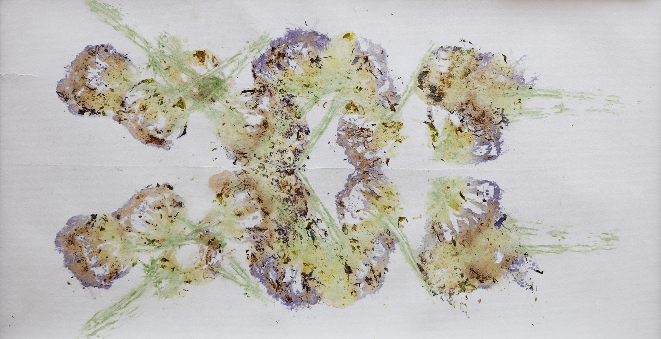Vertical botanical pigment imprint