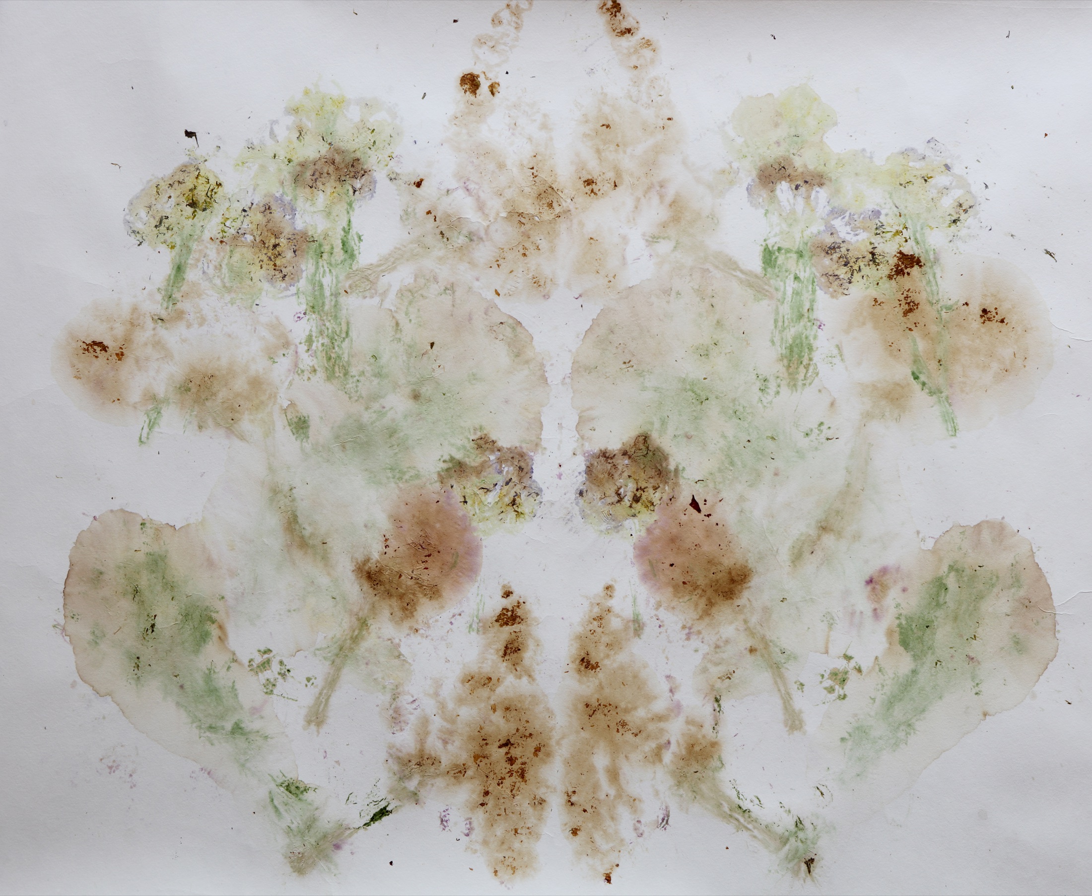 Symmetrical flower pigment composition