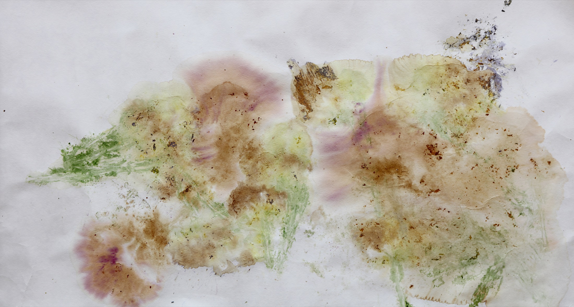 Horizontal abstract floral pigment trace