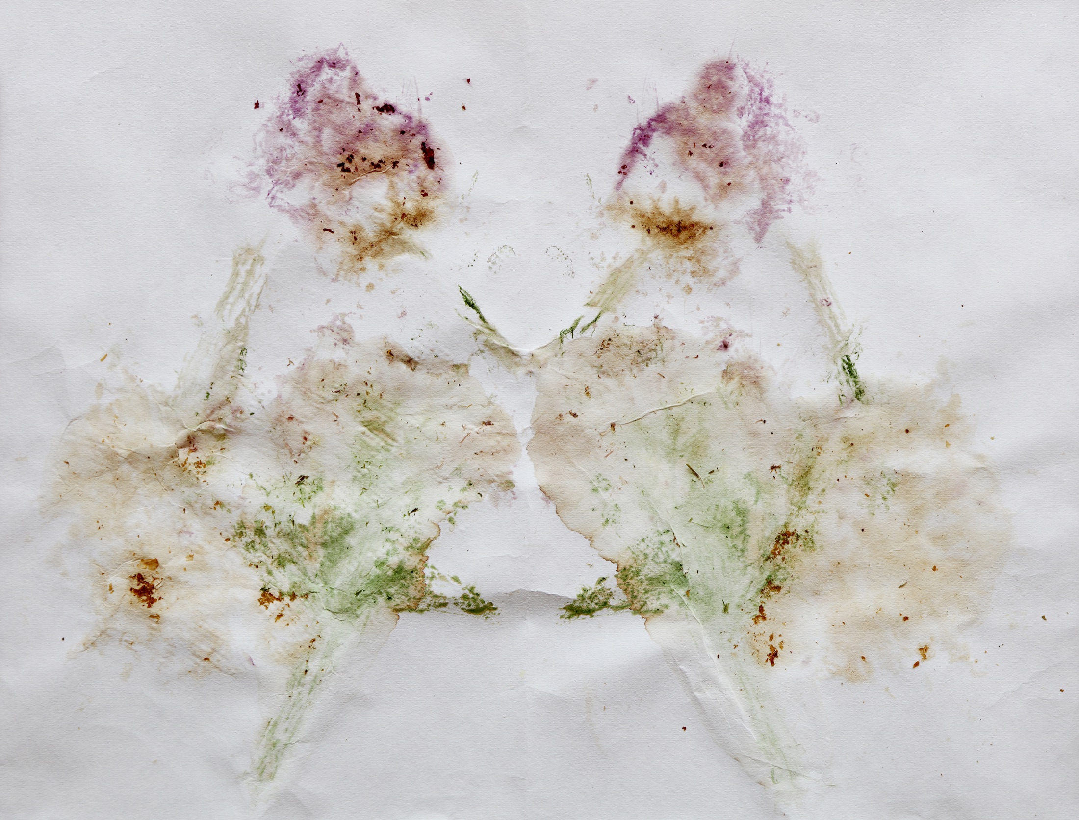 Delicate pink and green flower pigment marks