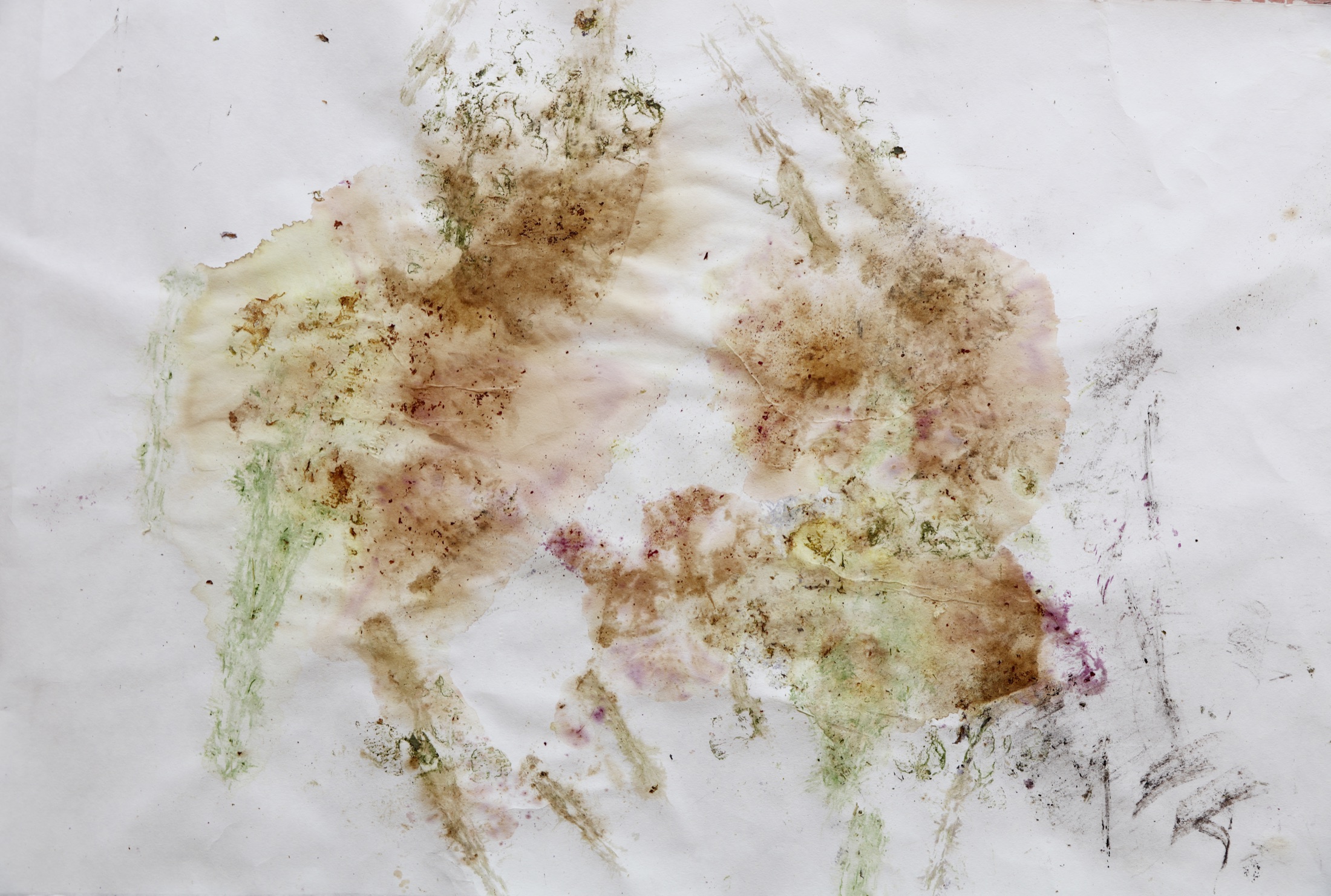 Oxidized floral pigment composition