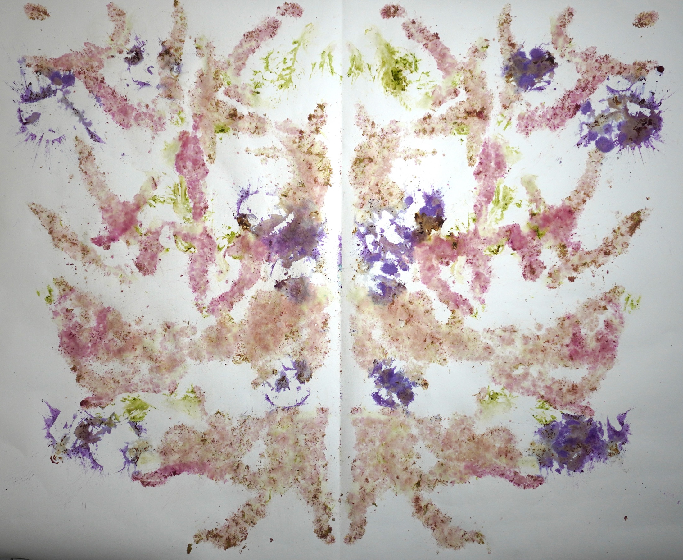 Faded botanical pigment print