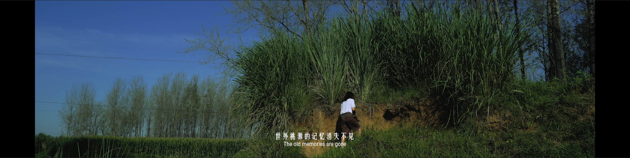 Figure moving through the island landscape