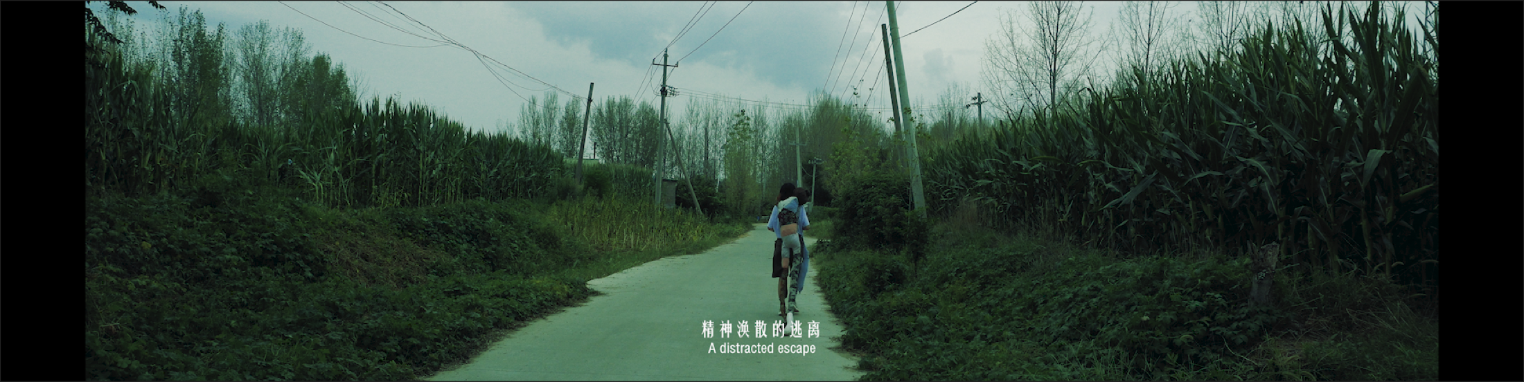 Road through a green landscape