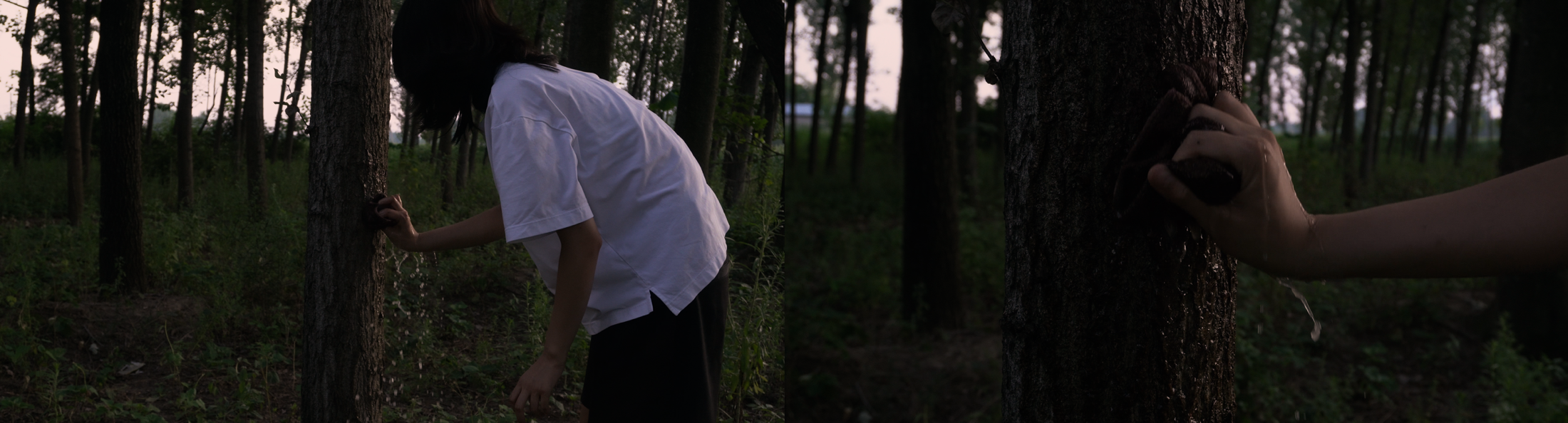 Figure moving through a dark landscape