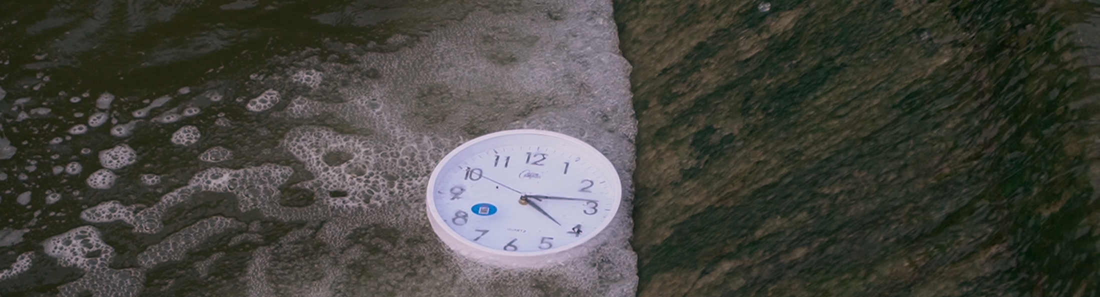 Clock resting in the grass