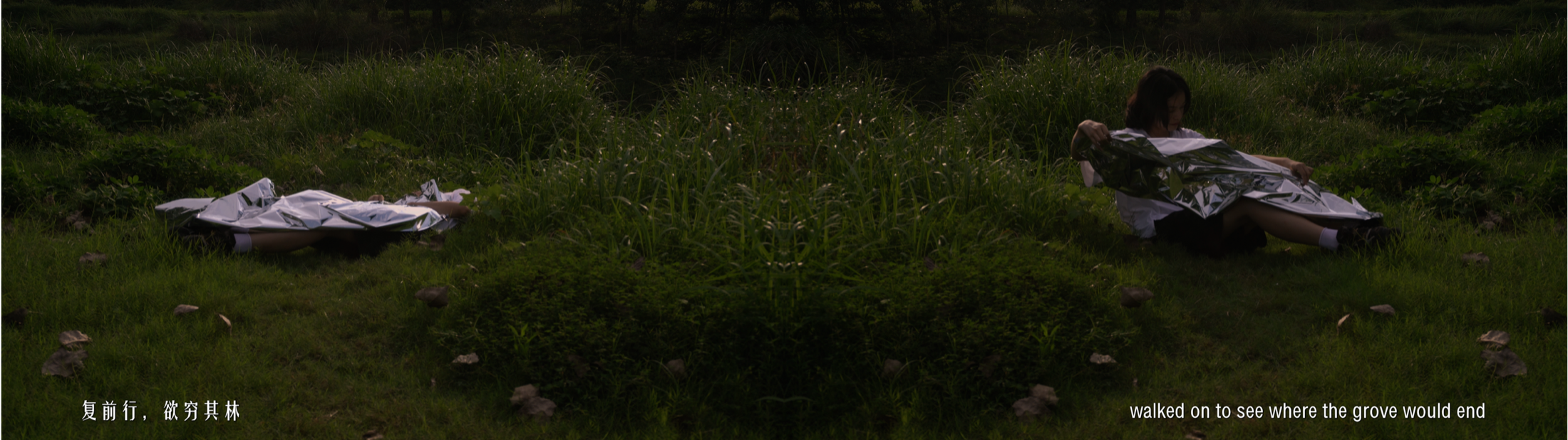 The Peach Colony moving image artwork