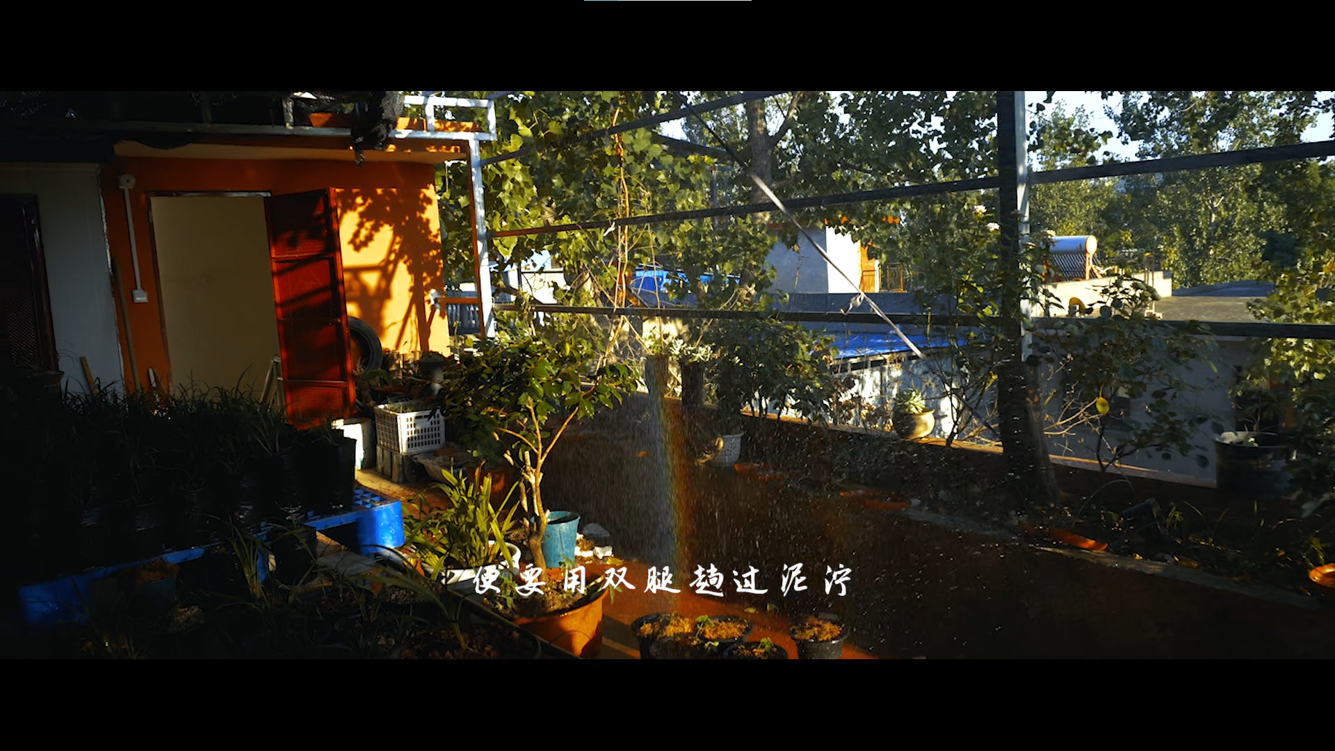 Ordinary daily scene from the film
