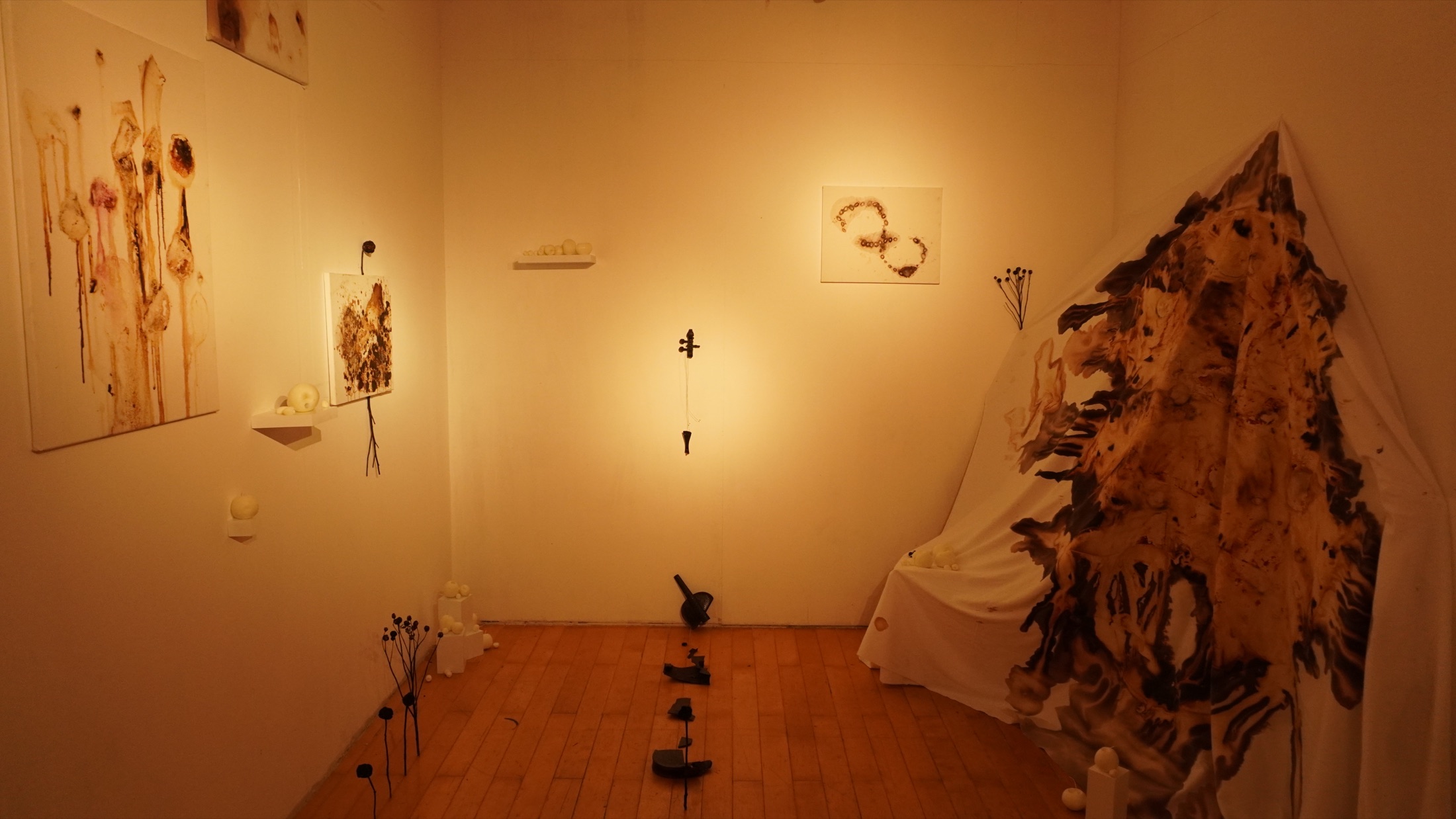 Vinity of Vinities installation view