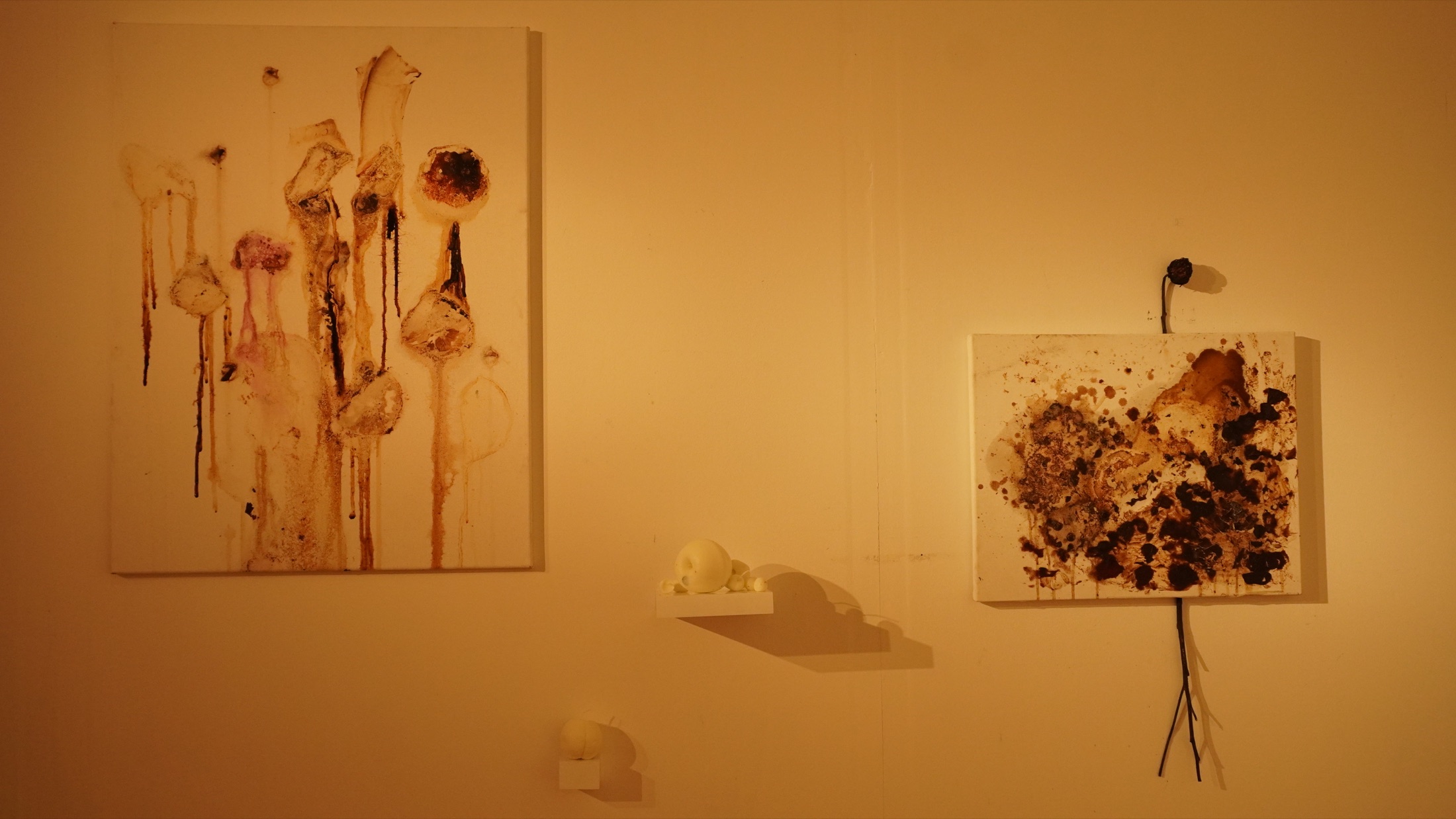 Wide gallery view of Vinity of Vinities