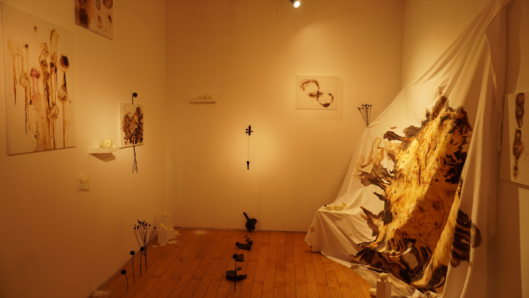 Full installation viewed from the gallery