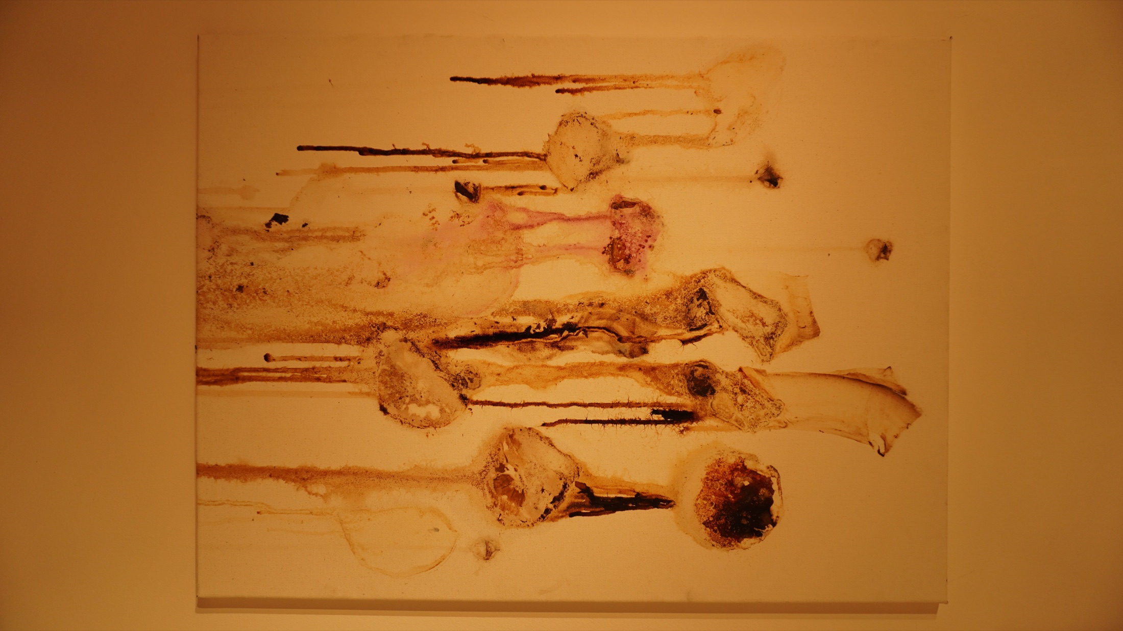 Vertical study of organic traces
