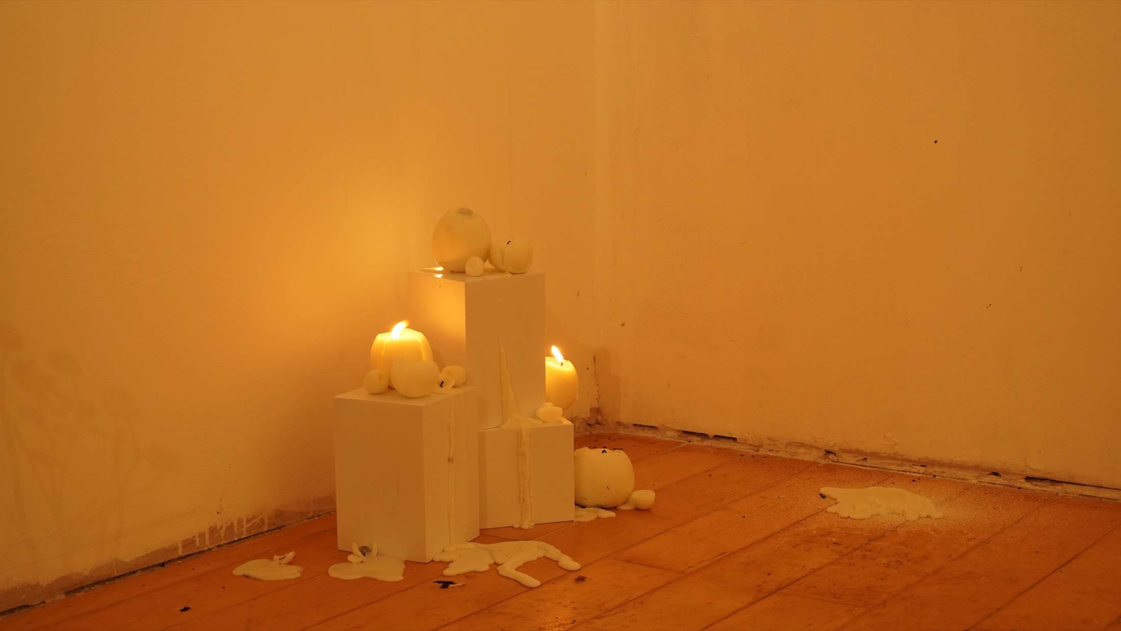 Candles and organic material study