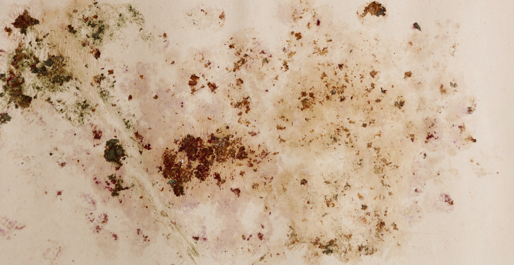 Works of Decay material study