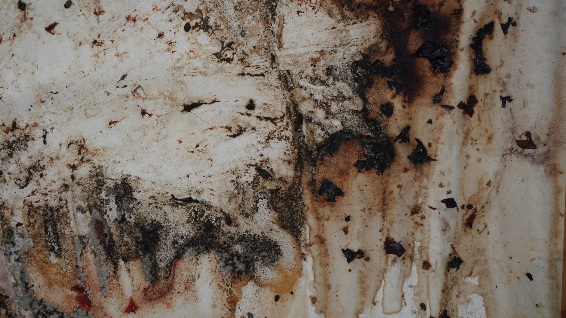 Works of Decay image 03 by Xizi Wang
