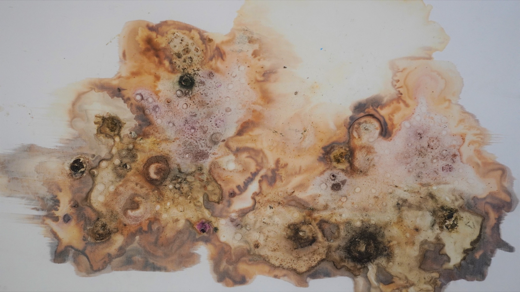 Works of Decay image 04 by Xizi Wang