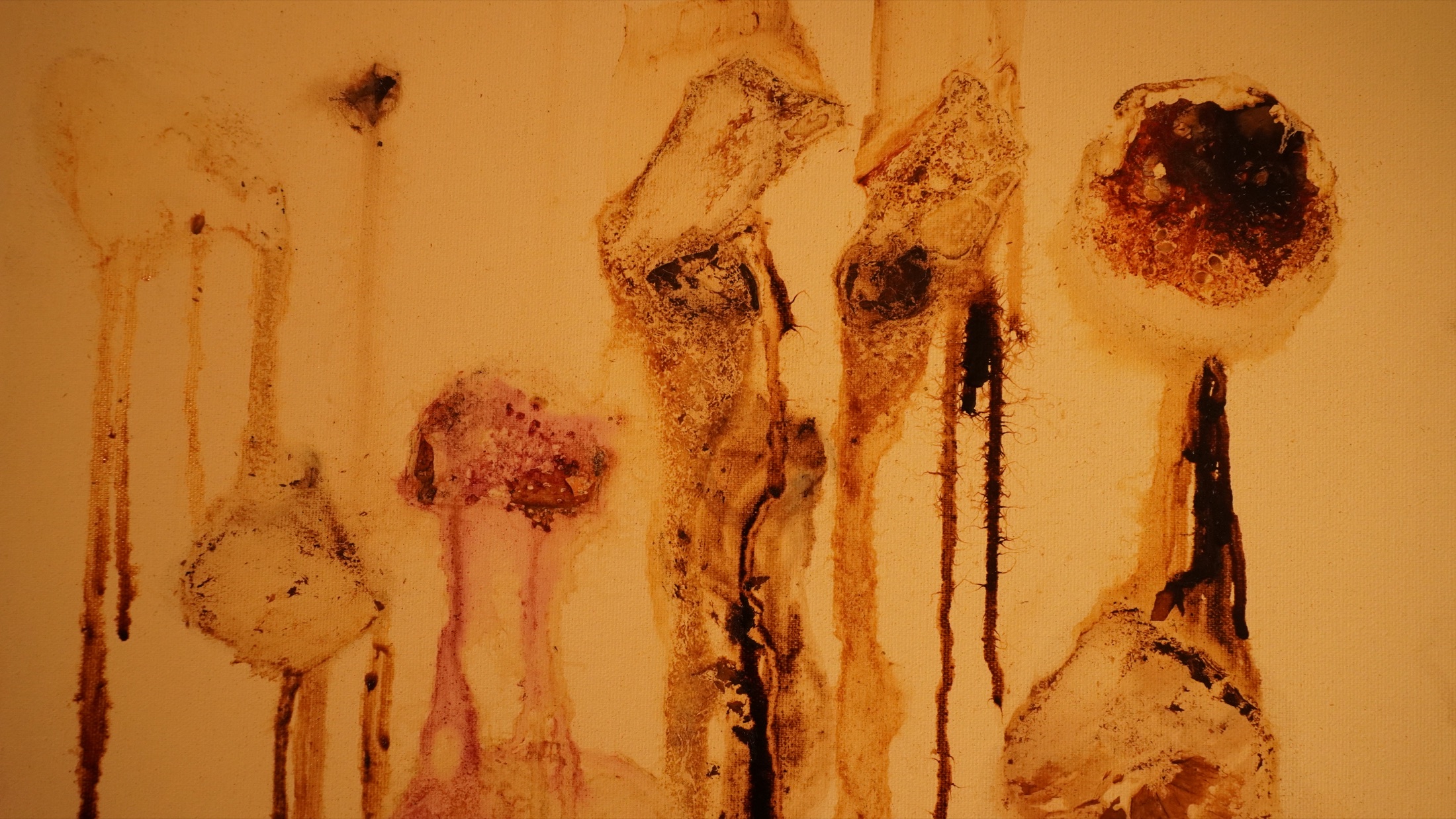 Vinity of Vinities organic material study